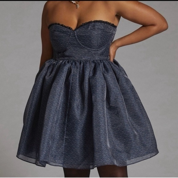 NWT Selkie Roccoco Corset Dress - Picture 1 of 5